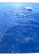 vignette Maldives_sud_0060.jpg 