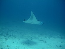 vignette Maldives_sud_0303.jpg 