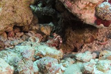 vignette Maldives_sud_0393.jpg 