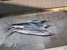 vignette Maldives_sud_0522.jpg 