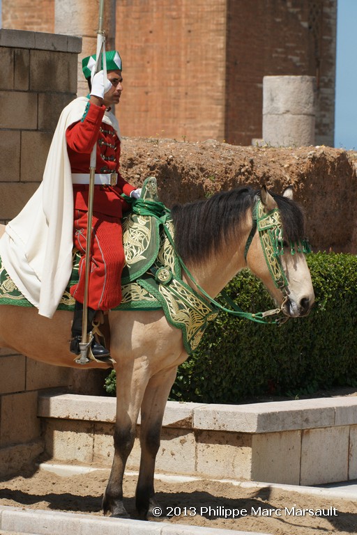 /ecran/Maroc_0061.jpg