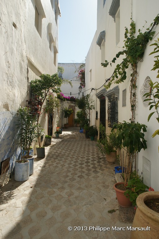 /ecran/Maroc_0092.jpg