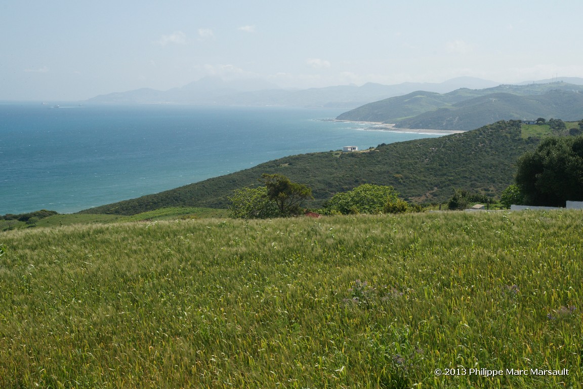/ecran/Maroc_0142.jpg