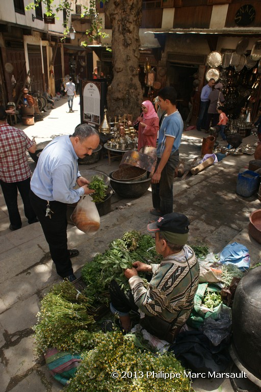 /ecran/Maroc_0446.jpg