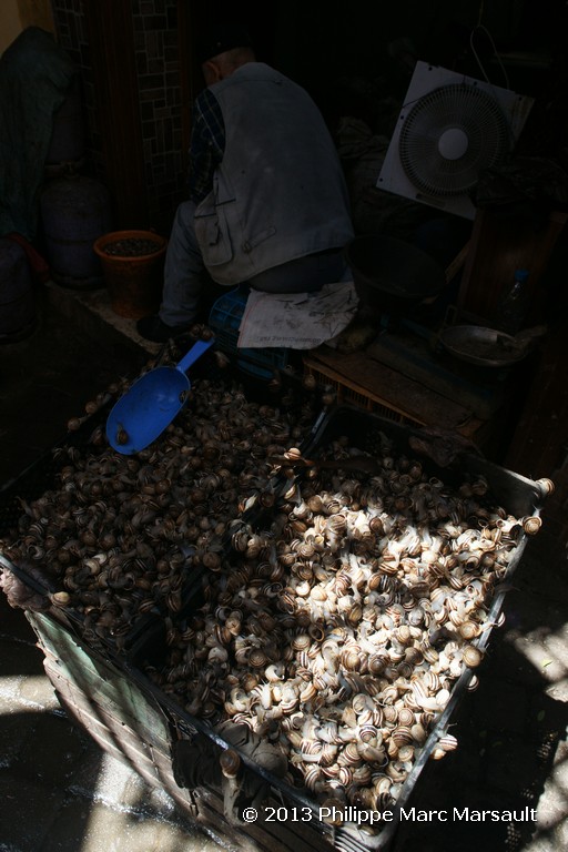 /ecran/Maroc_0460.jpg