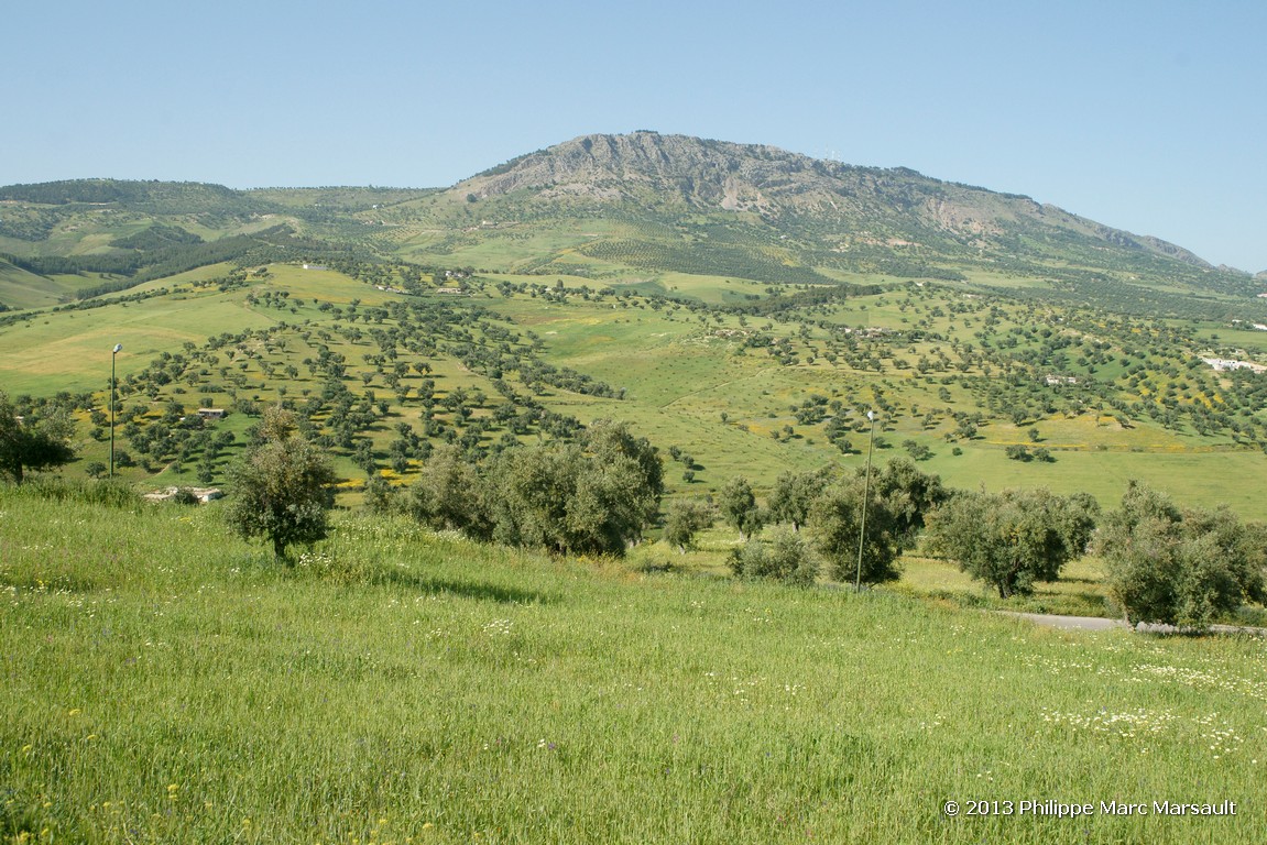 /ecran/Maroc_0486.jpg