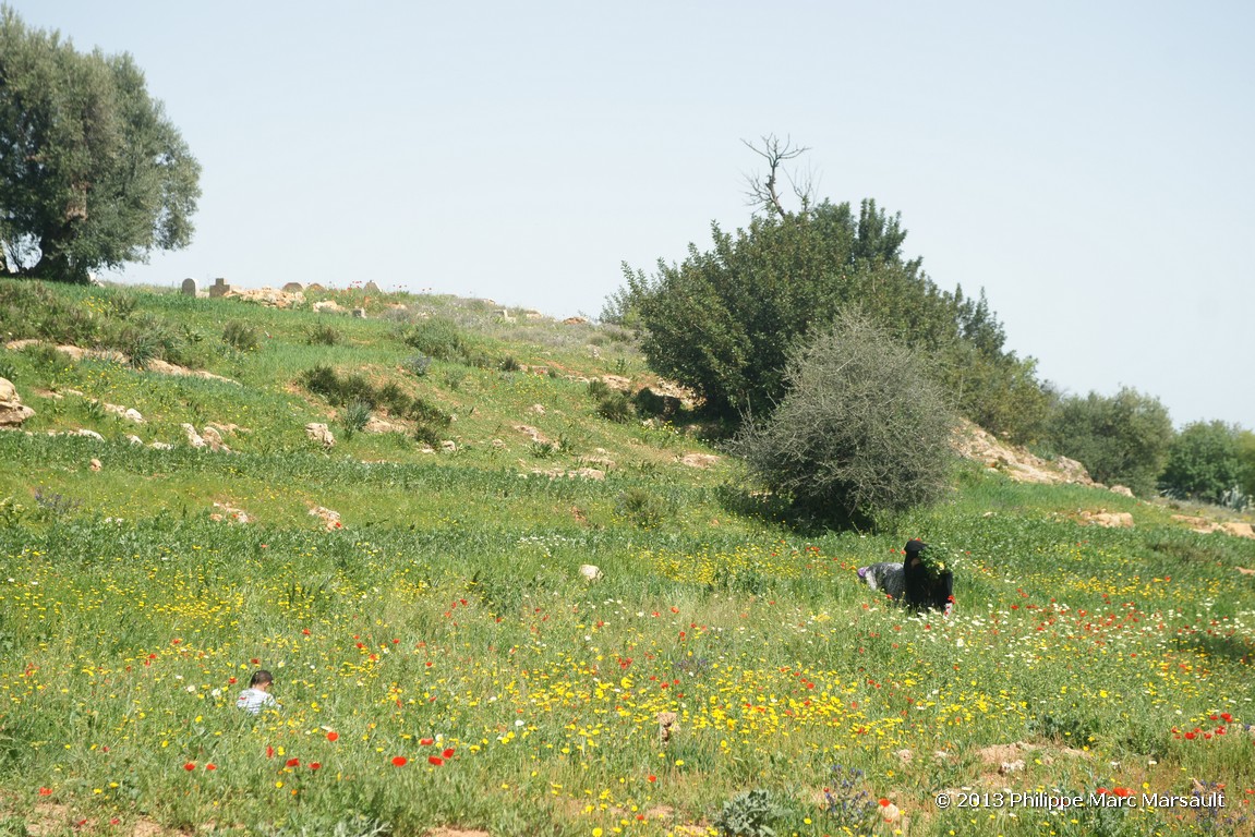 /ecran/Maroc_0545.jpg