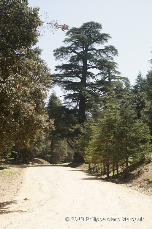 /ecran/Maroc_0571.jpg