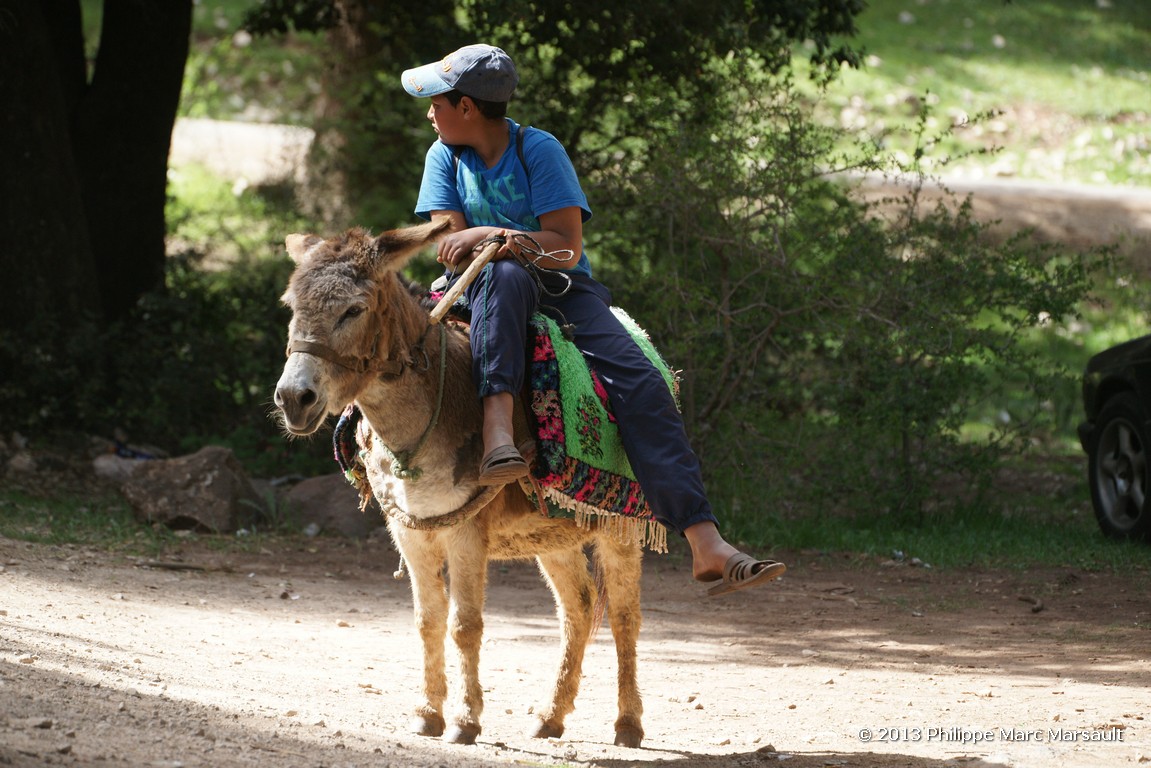/ecran/Maroc_0584.jpg