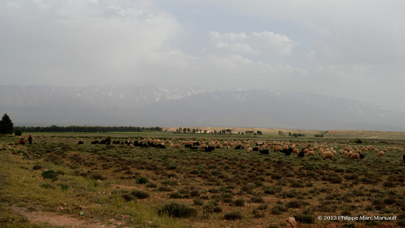 /ecran/Maroc_0588.jpg