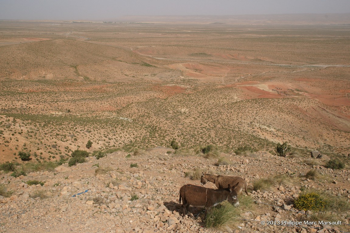 /ecran/Maroc_0593.jpg