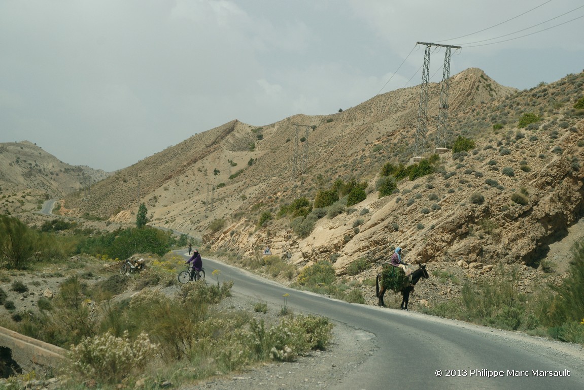 /ecran/Maroc_0600.jpg