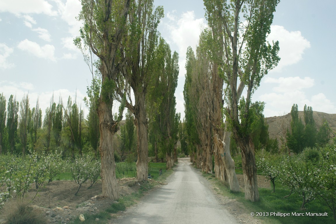 /ecran/Maroc_0605.jpg