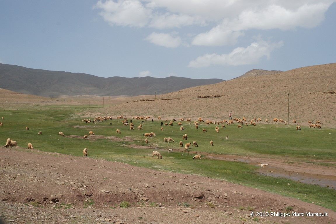/ecran/Maroc_0618.jpg
