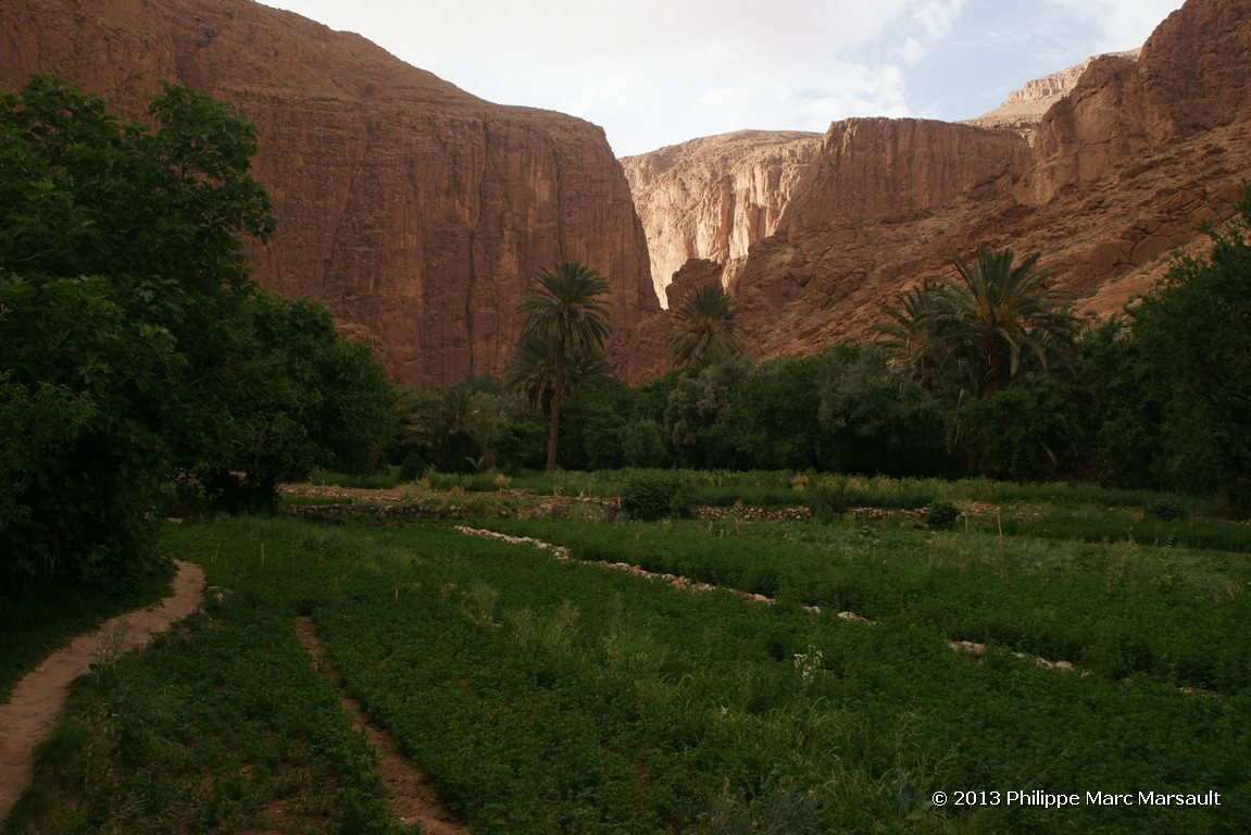 /ecran/Maroc_0663.jpg