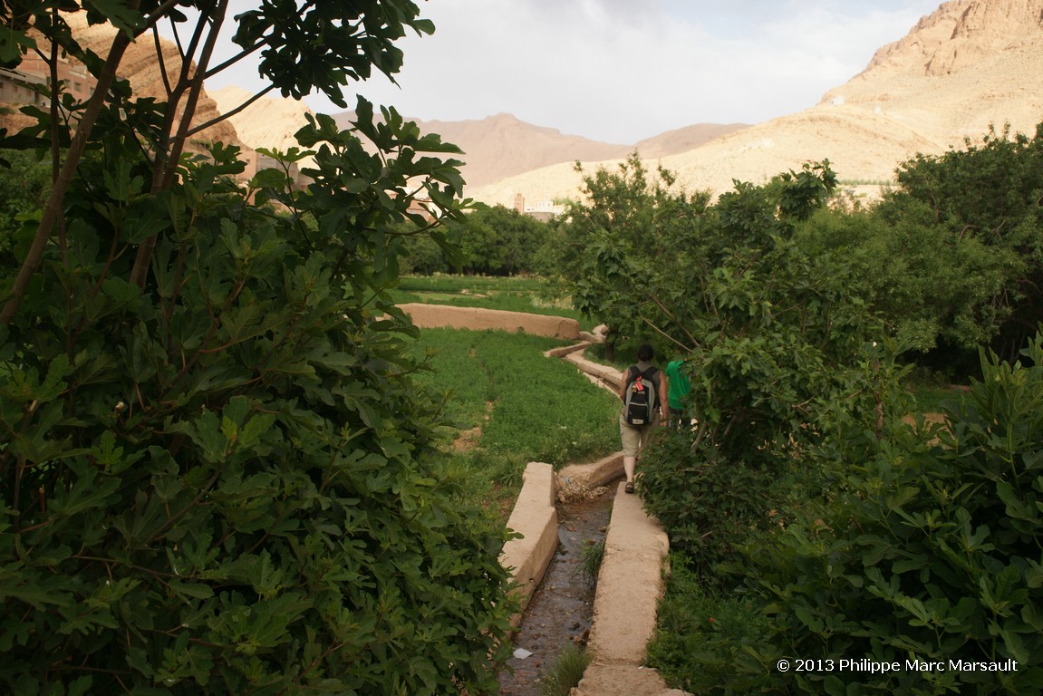 /ecran/Maroc_0666.jpg