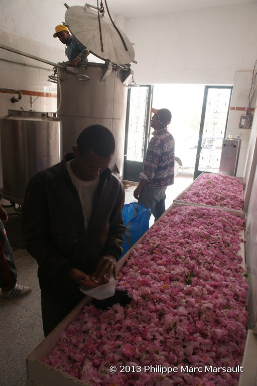 /ecran/Maroc_0705.jpg
