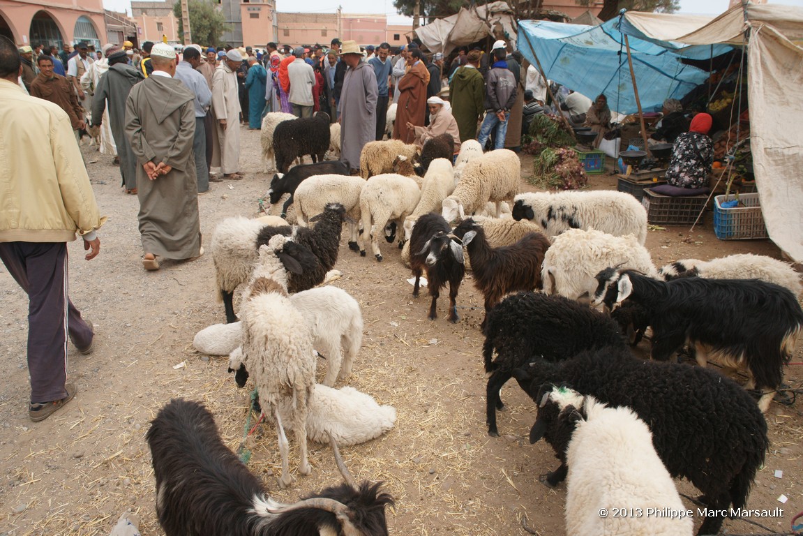 /ecran/Maroc_0763.jpg