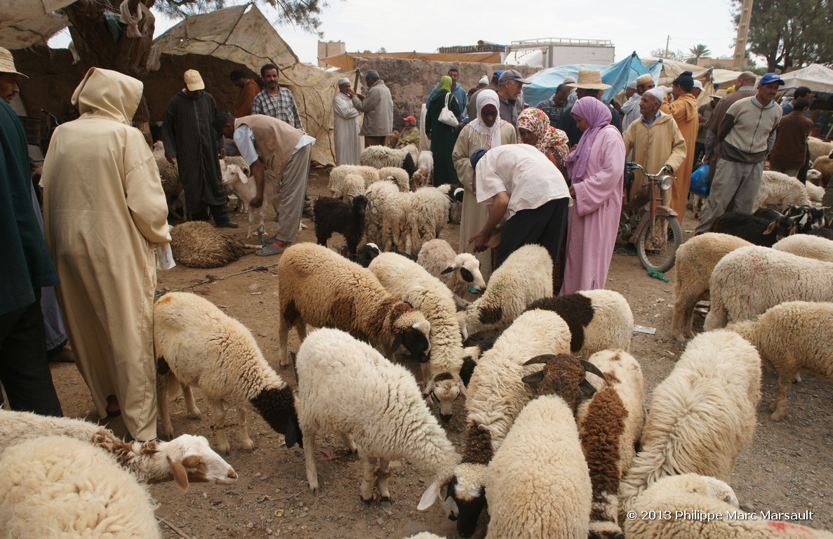 /ecran/Maroc_0766.jpg