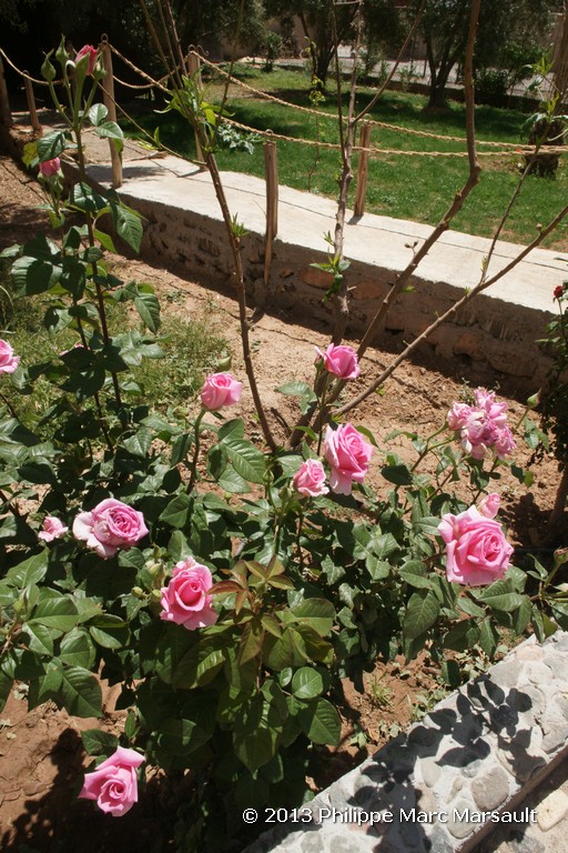 /ecran/Maroc_0784.jpg