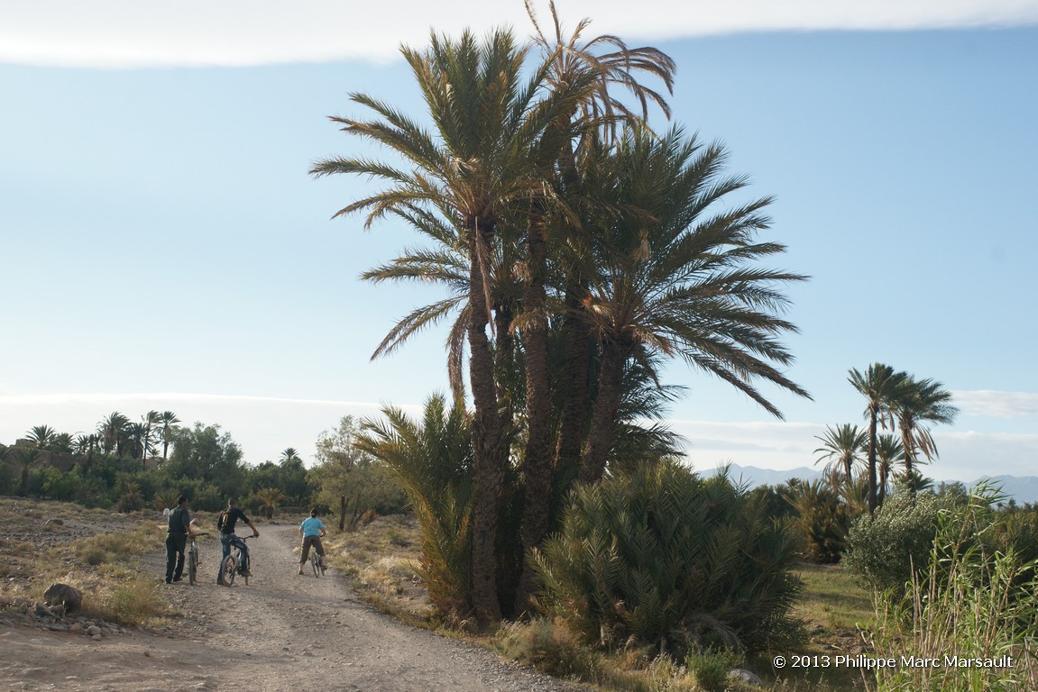/ecran/Maroc_0805.jpg