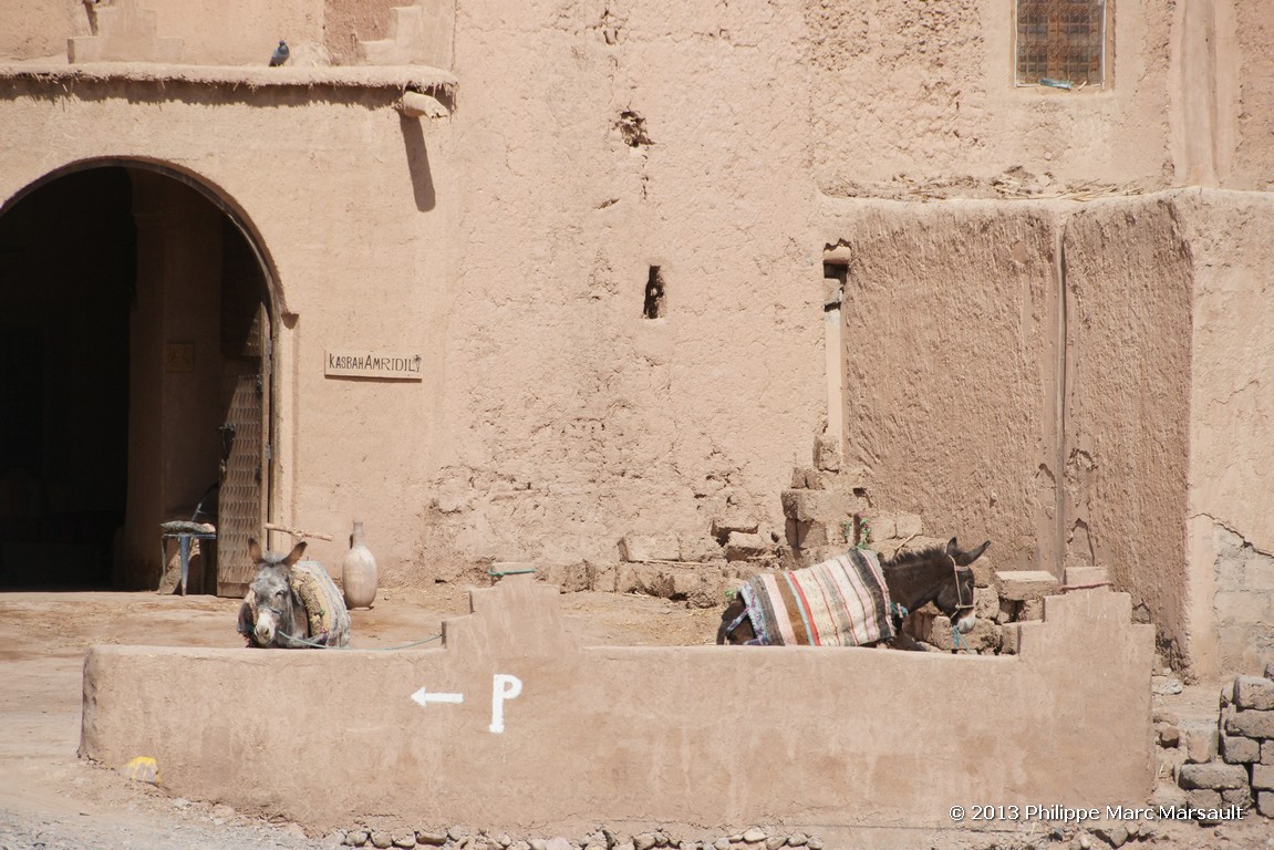 /ecran/Maroc_0812.jpg