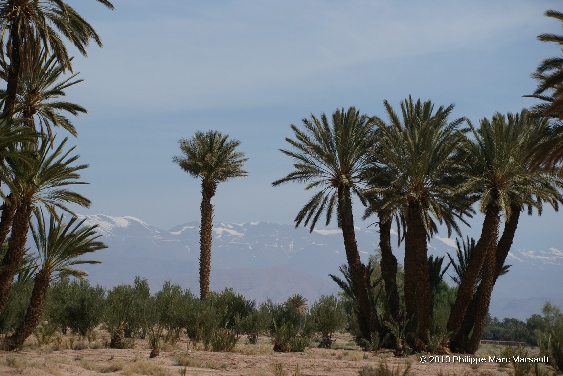 /ecran/Maroc_0820.jpg