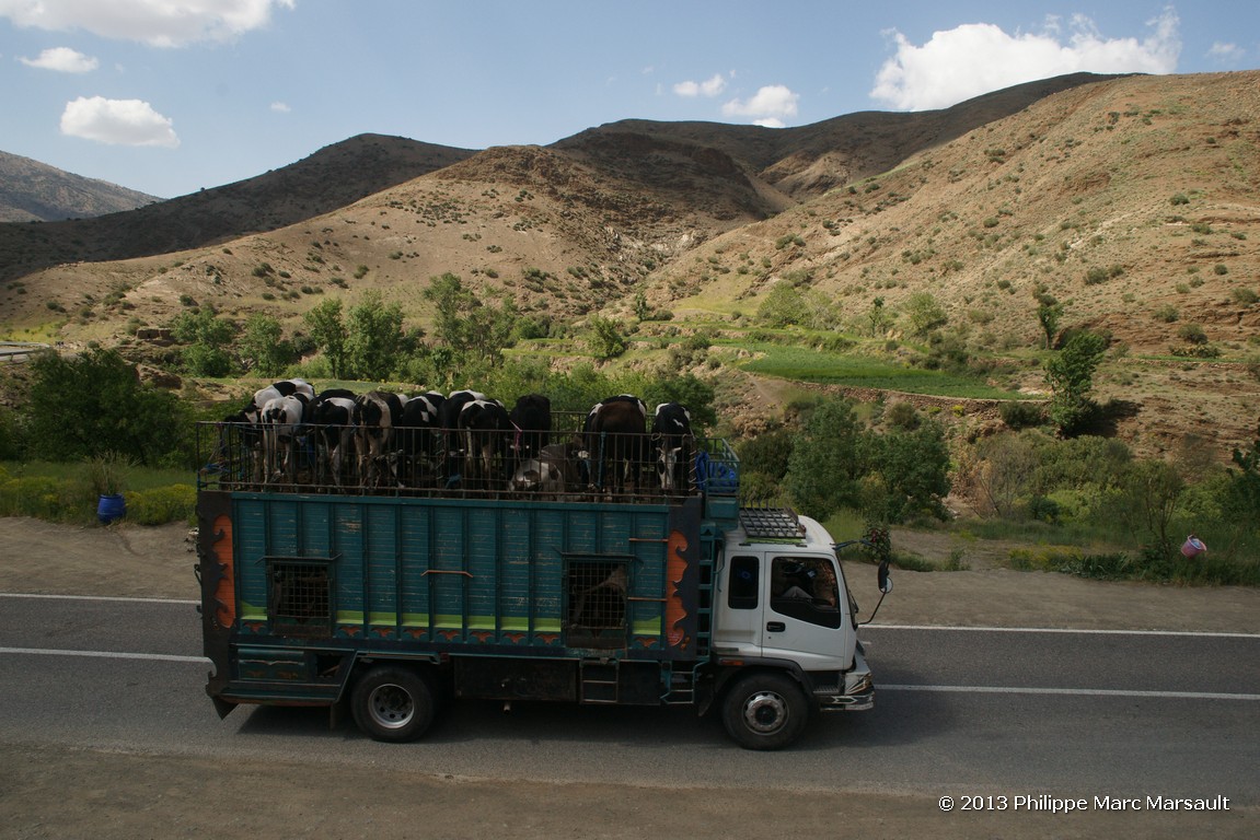 /ecran/Maroc_0961.jpg