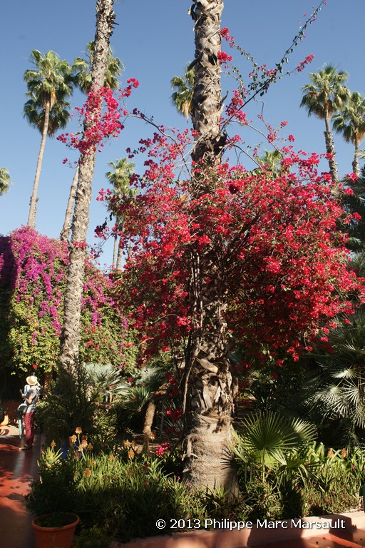 /ecran/Maroc_1046.jpg