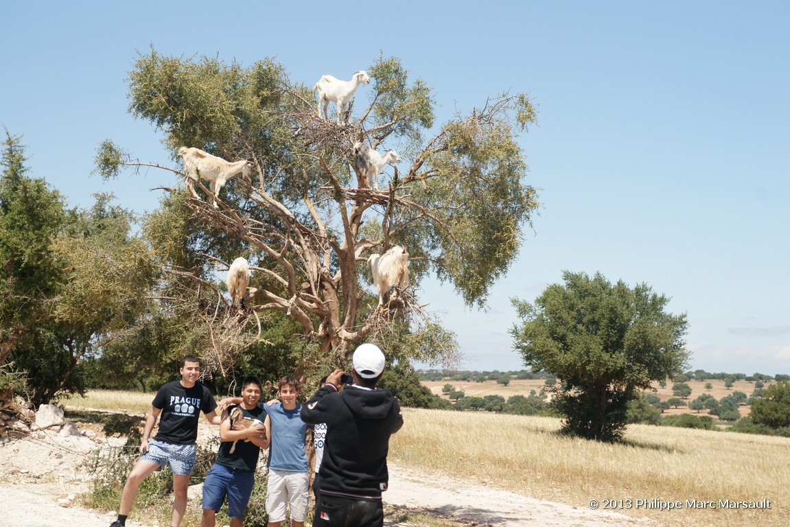 /ecran/Maroc_1115.jpg
