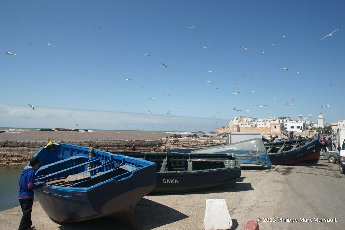 /ecran/Maroc_1127.jpg