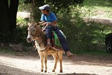 vignette Maroc_0584.jpg 