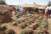 vignette Maroc_0759.jpg 