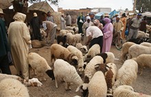 vignette Maroc_0766.jpg 