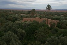 vignette Maroc_0801.jpg 