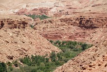 vignette Maroc_0917.jpg 
