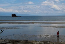 vignette Moluques_2019_0247.jpg 