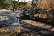 vignette New_York_2008_160.jpg 