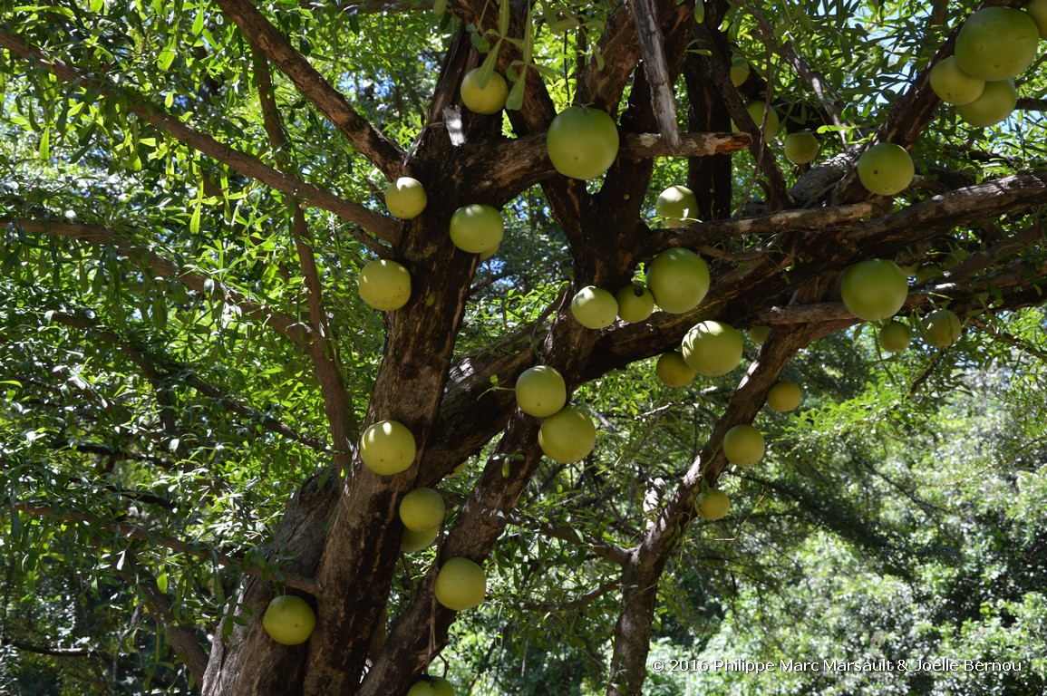 /ecran/Nicaragua_2016_0415.jpg