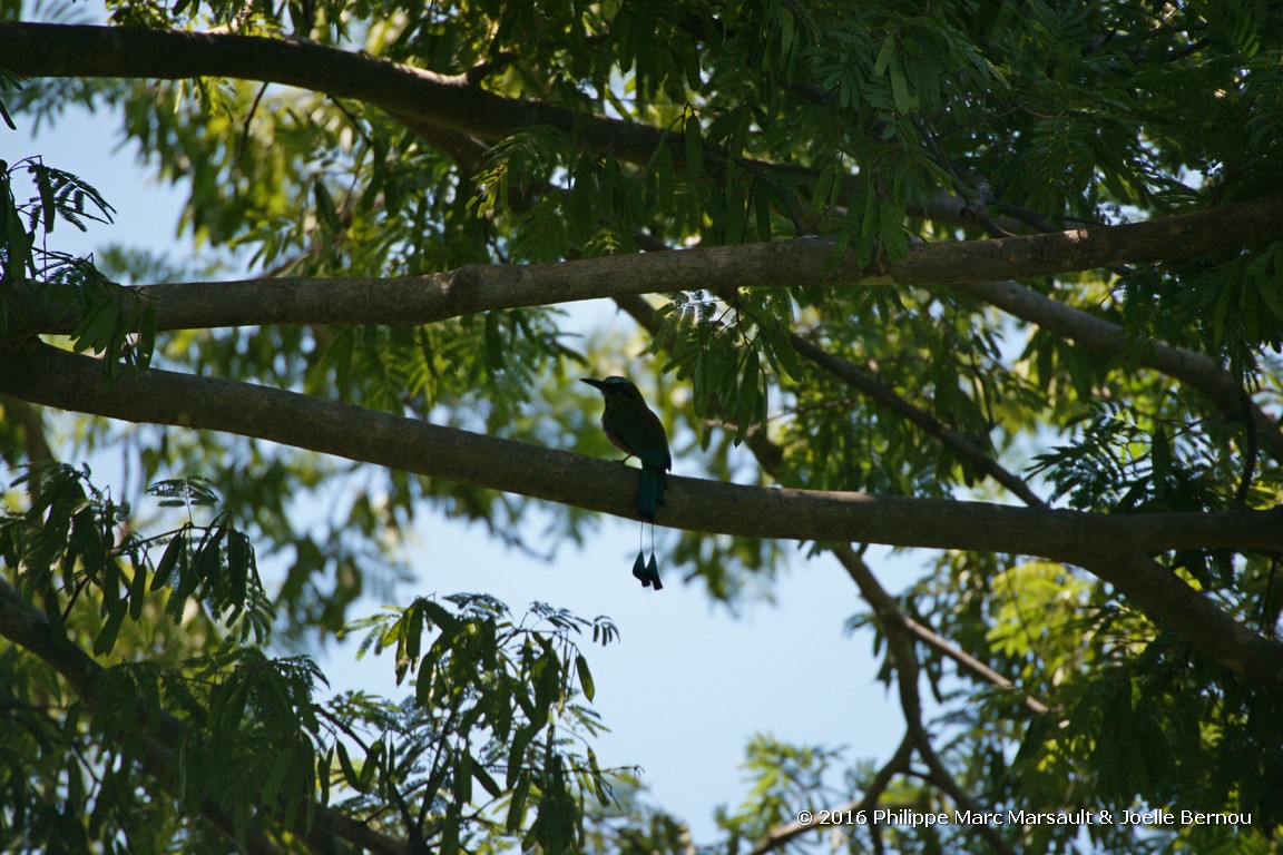 /ecran/Nicaragua_2016_0446.jpg