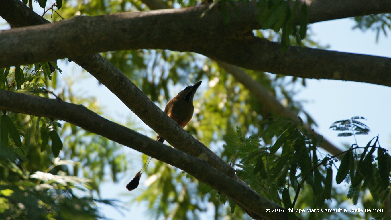 /ecran/Nicaragua_2016_0454.jpg