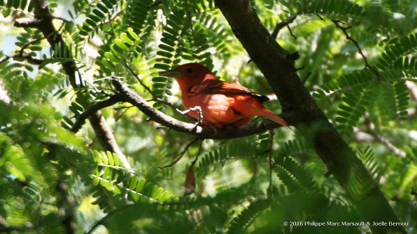 /ecran/Nicaragua_2016_0462.jpg