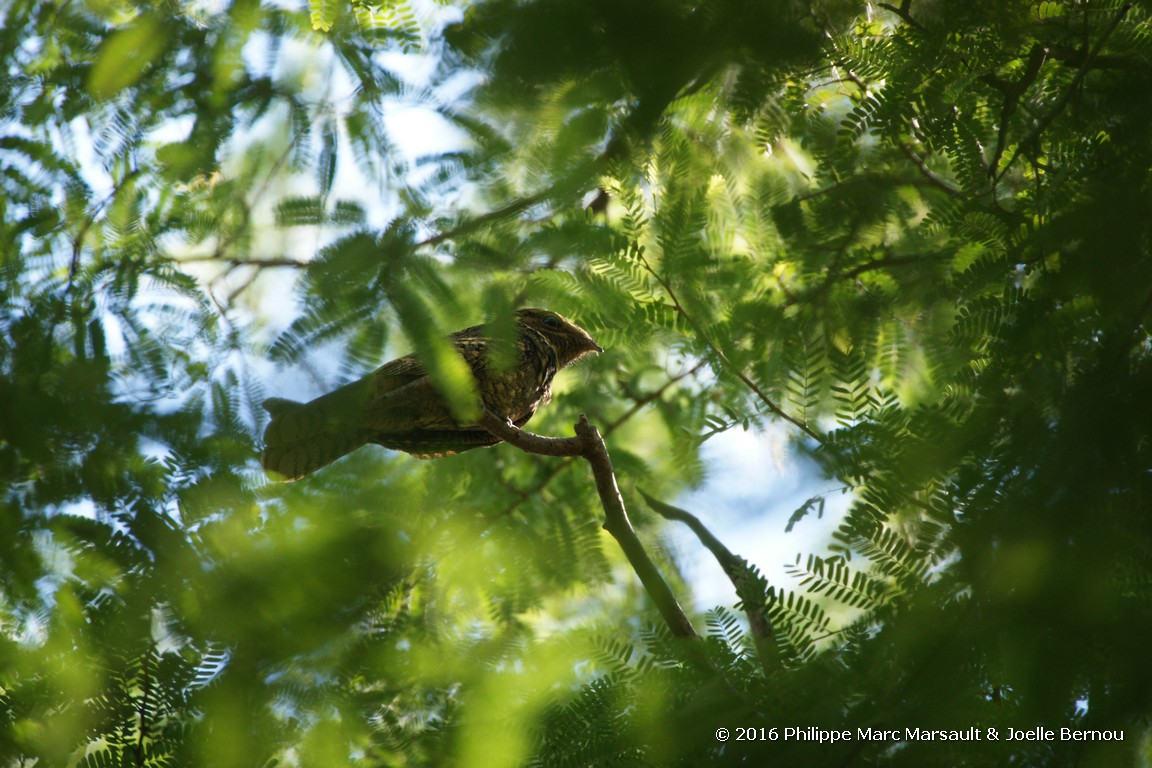 /ecran/Nicaragua_2016_0463.jpg