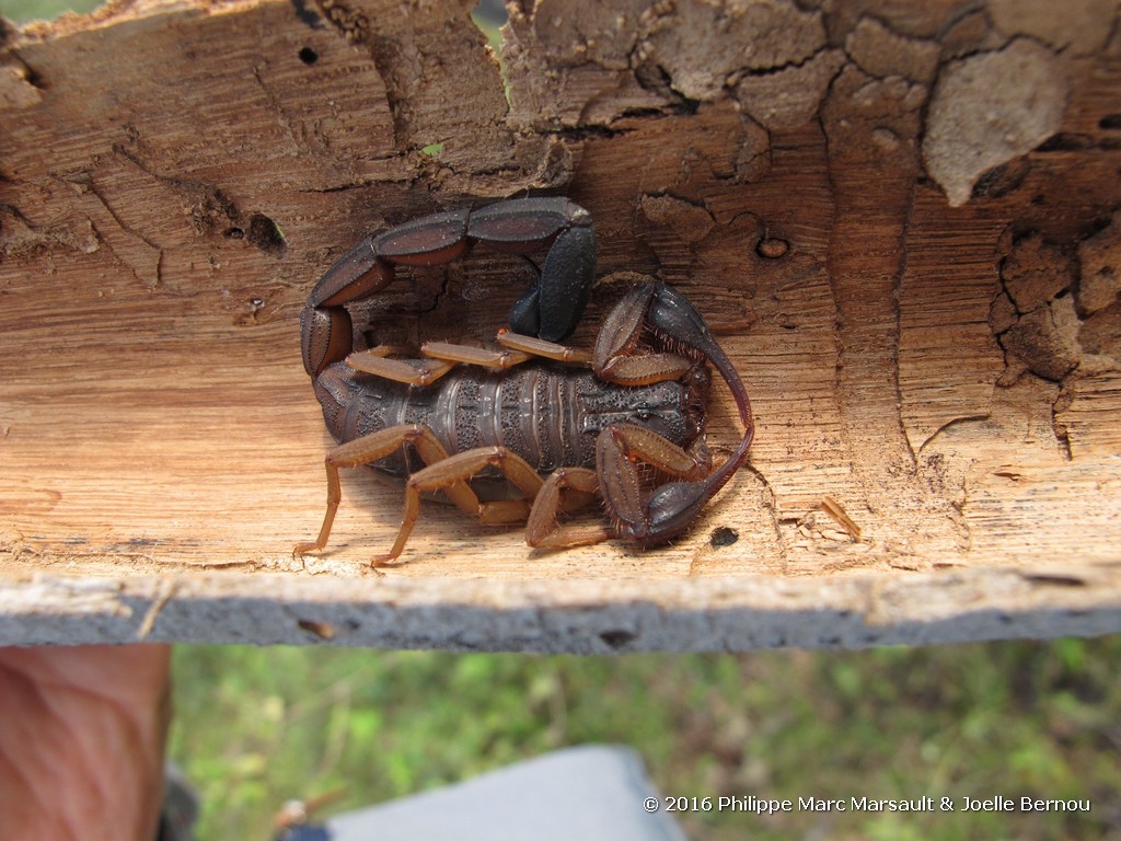 /ecran/Nicaragua_2016_0611.jpg