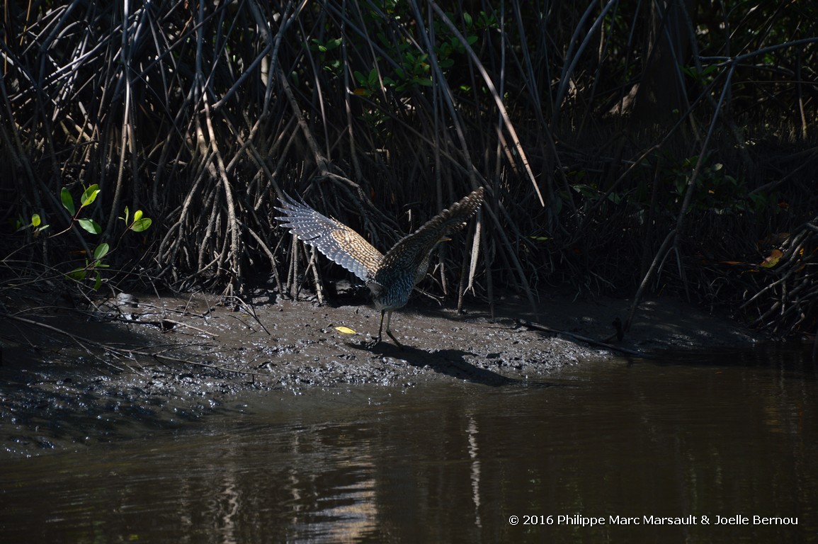 /ecran/Nicaragua_2016_0724.jpg