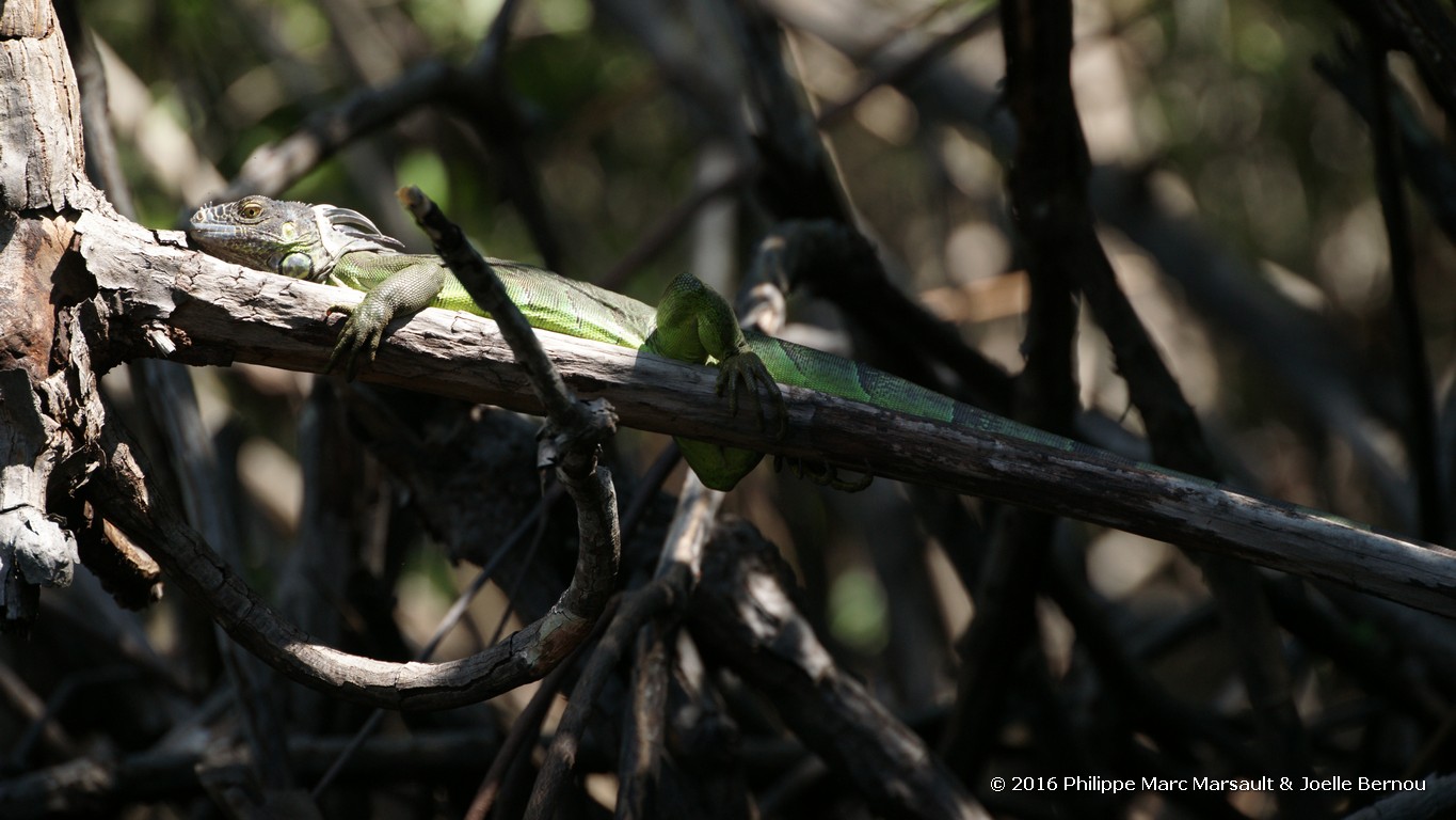 /ecran/Nicaragua_2016_0729.jpg