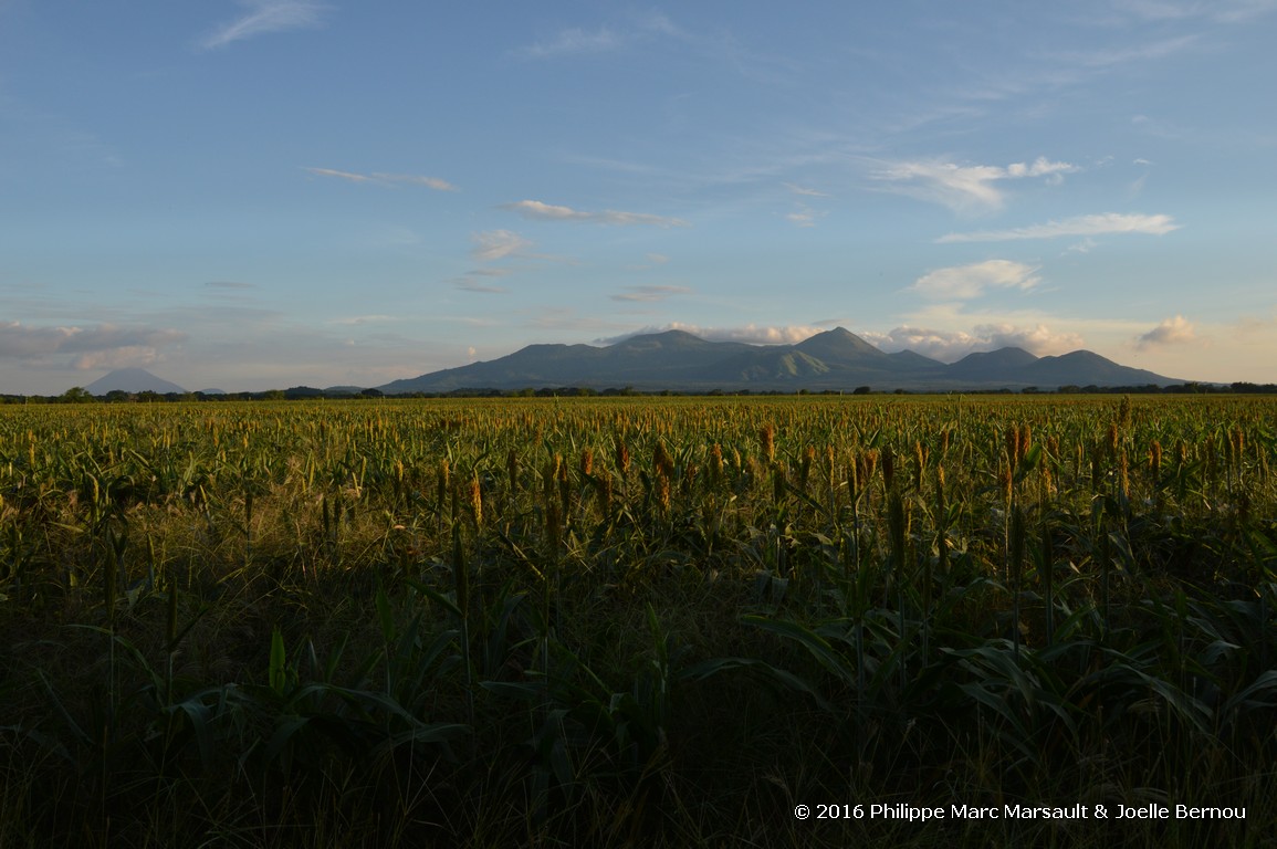 /ecran/Nicaragua_2016_0889.jpg