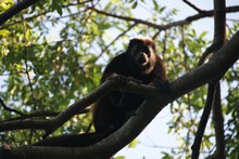 vignette Nicaragua_2016_0094.jpg 