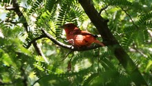 vignette Nicaragua_2016_0462.jpg 