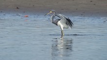 vignette Nicaragua_2016_0663.jpg 